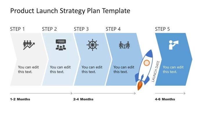 Product Launch Strategies