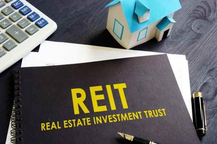 Investing in REITs